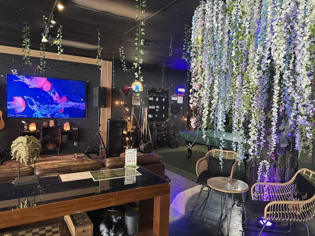 Tribe Tea Kava Lounge photo 2