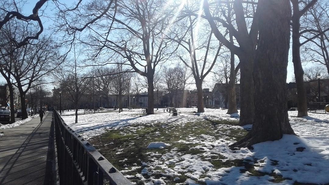 Halsey St/Knickerbocker Av photo 3