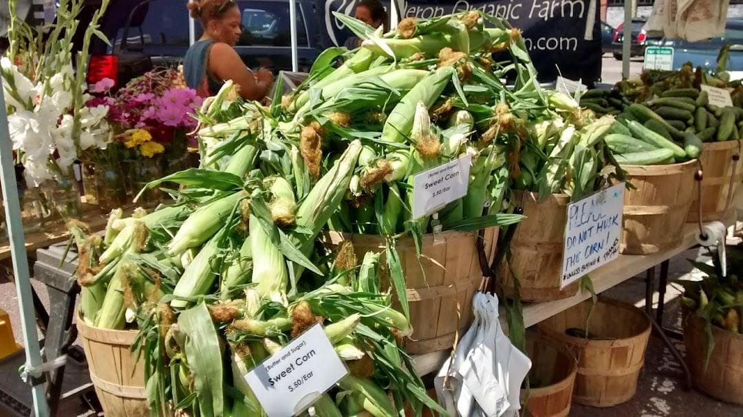 Davis Square Farmers Market photo 6
