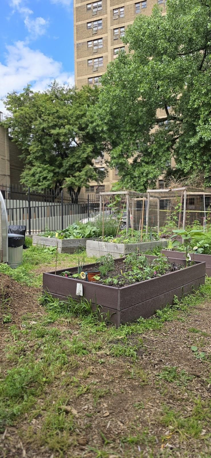 Fred McLeod Community Garden photo 5
