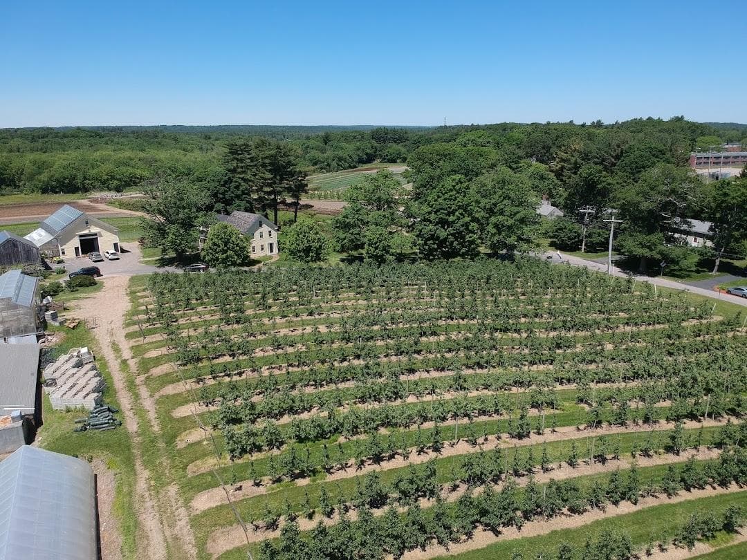 Tangerini's Spring Street Farm photo 6
