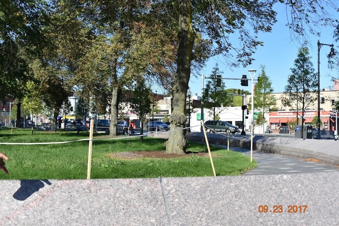 Central Square photo 4