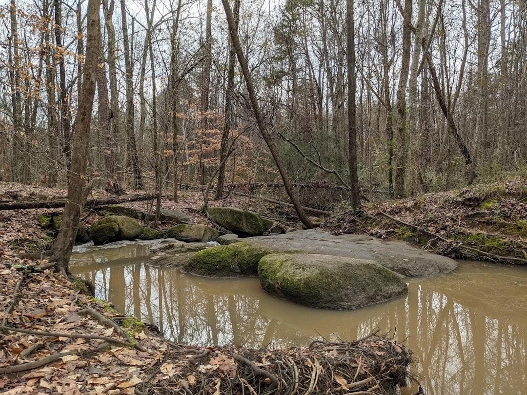 Big Rock Nature Preserve photo 3