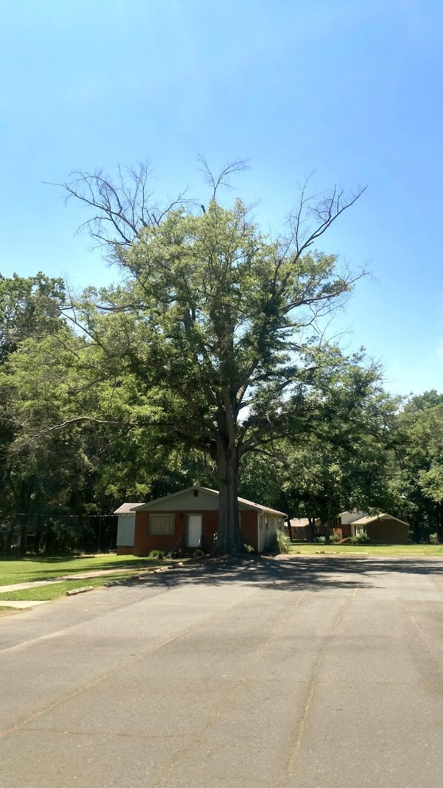 Aldersgate United Methodist Church photo 1