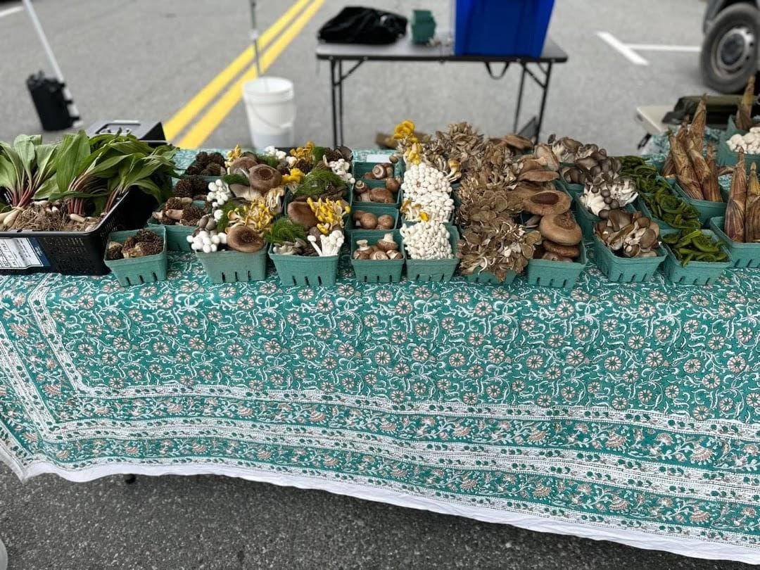 Down to Earth Scarsdale Farmers Market photo 6