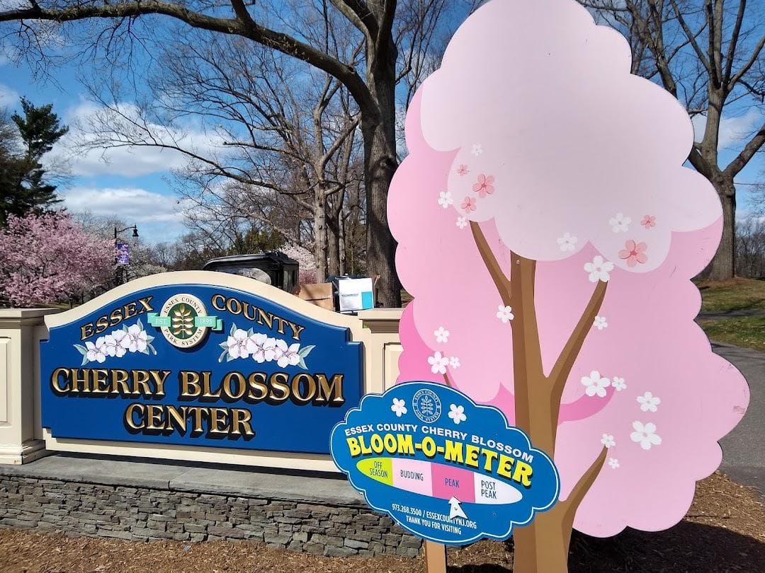 Cherry Blossom Welcome Center photo 1