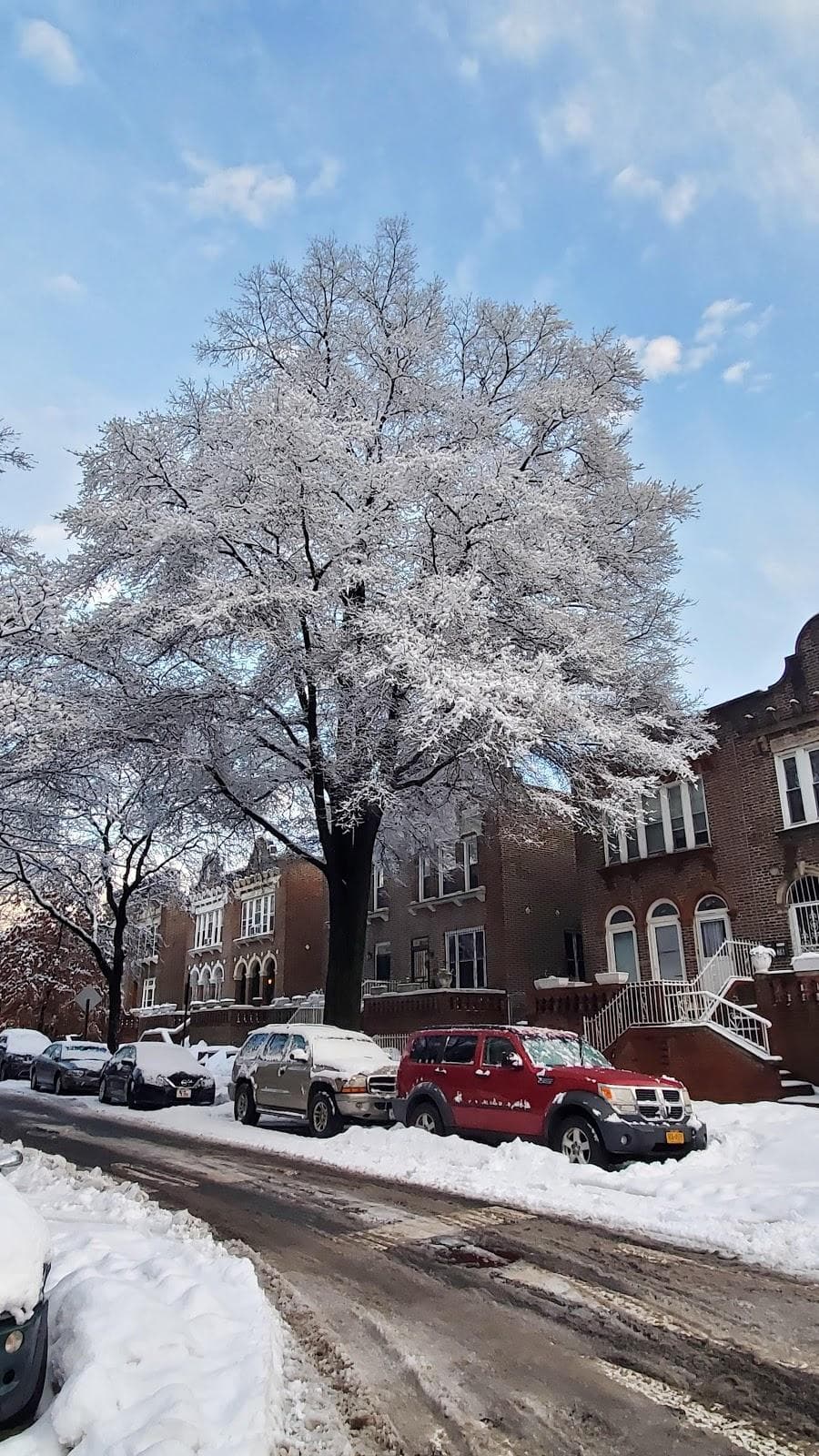 Fulton Park photo 5