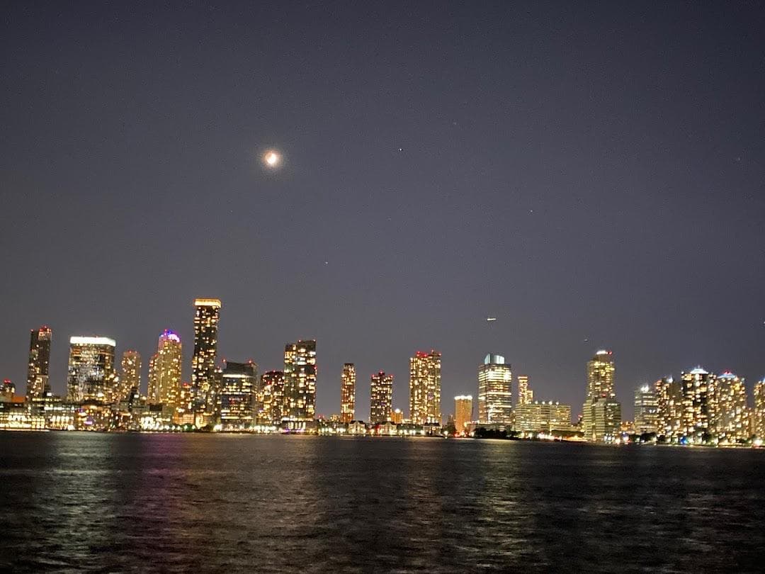 Pier 25 at Hudson River Park photo 6