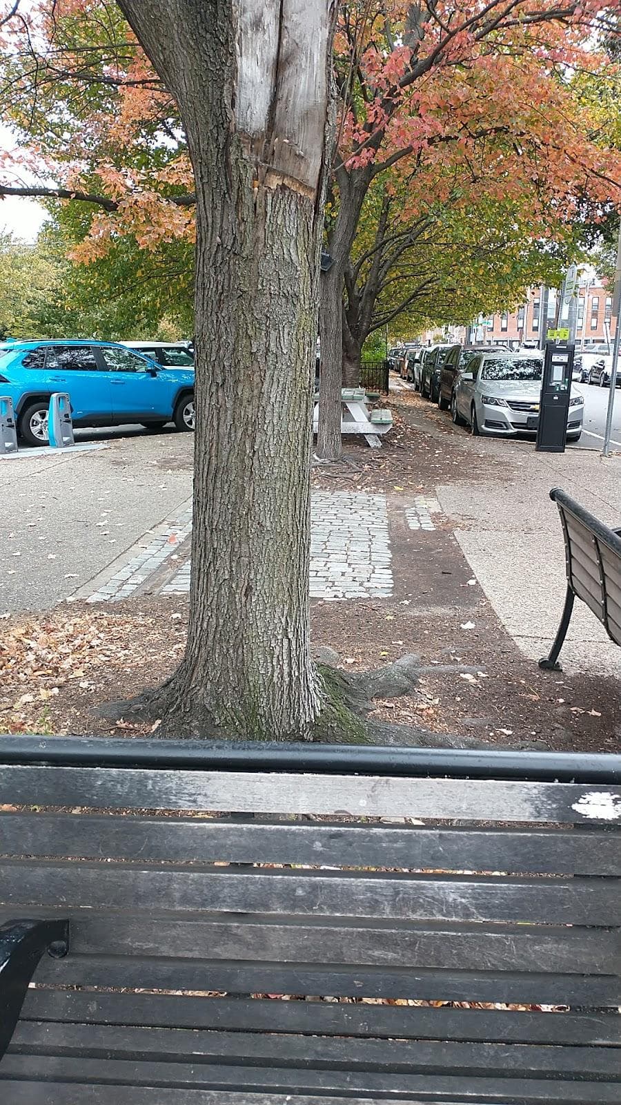 5th Street Plaza @ Bainbridge Green photo 4