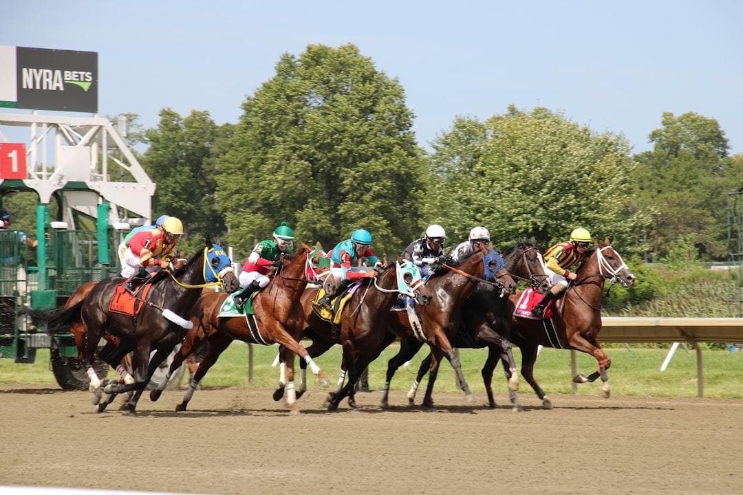 Monmouth Park photo 5