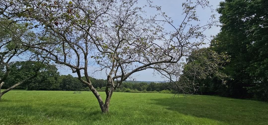 Governor Hutchinson's Field photo 4