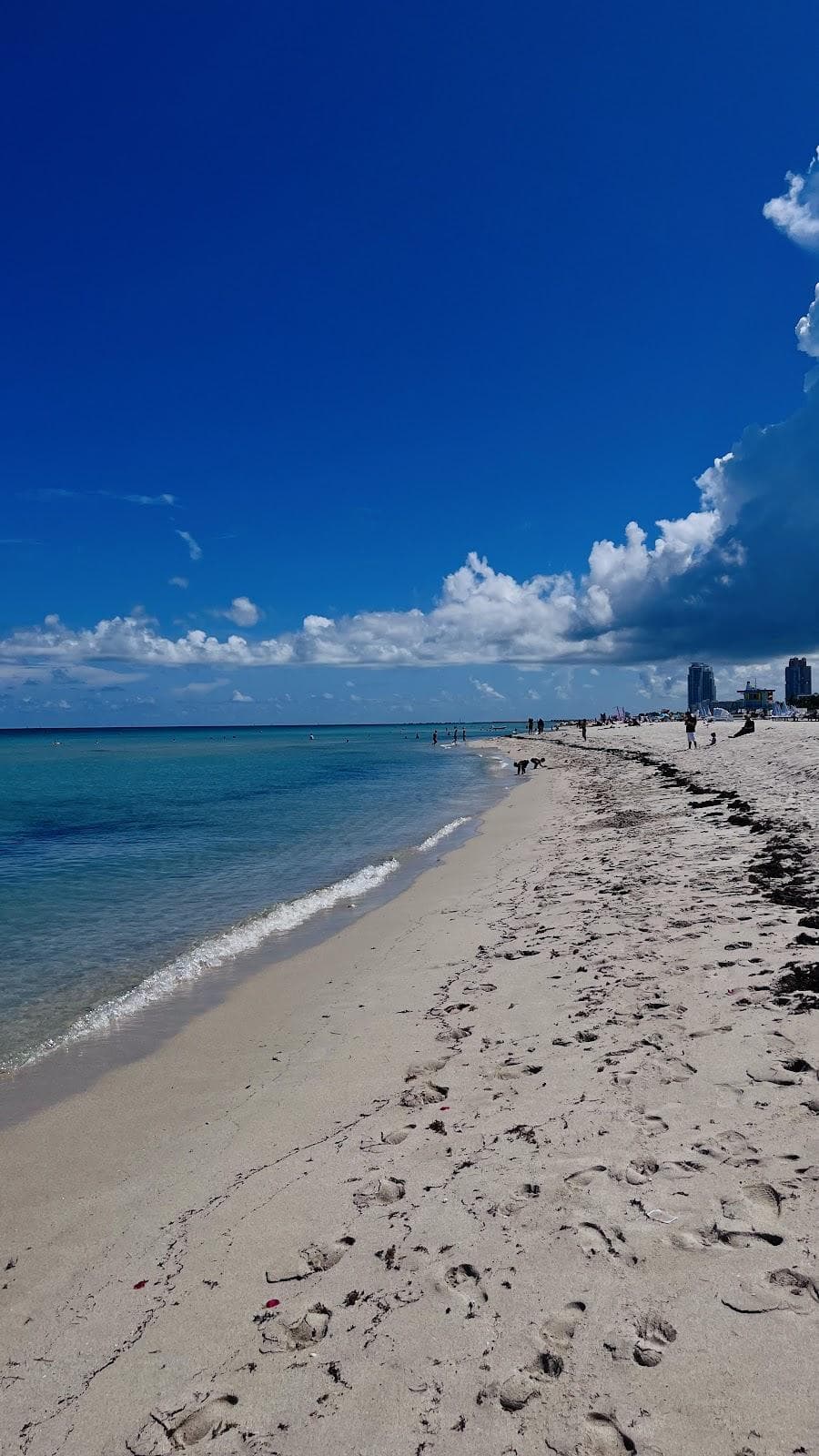 High Tide photo 1