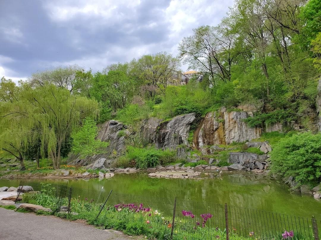 Morningside Park photo 6