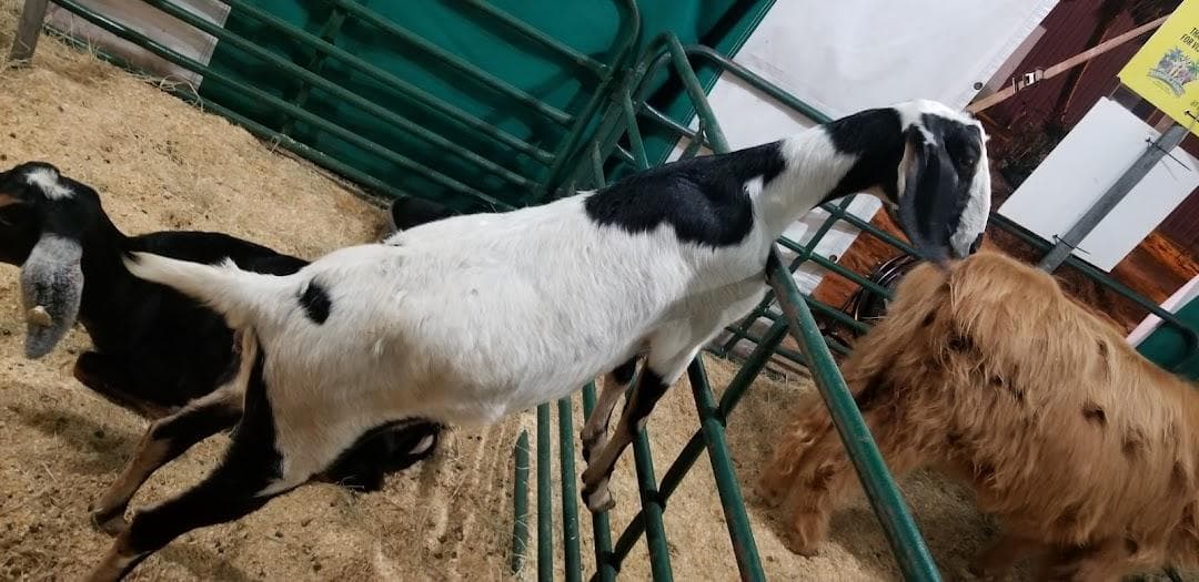 Rush Pavilion at the Anne Springs Close Greenway photo 4
