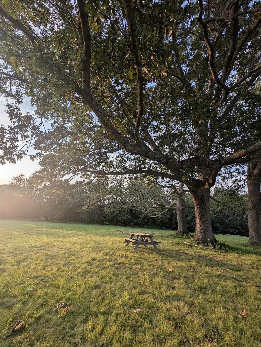 Governor Hutchinson's Field photo 6