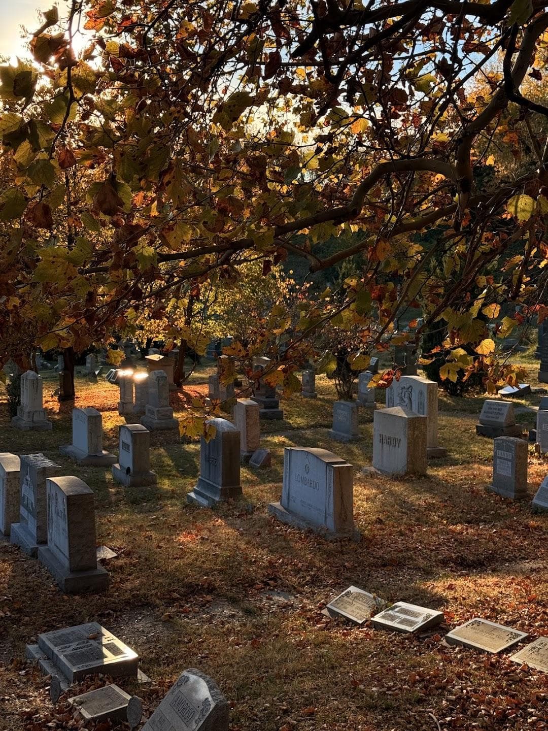 Harsimus Cemetery photo 2