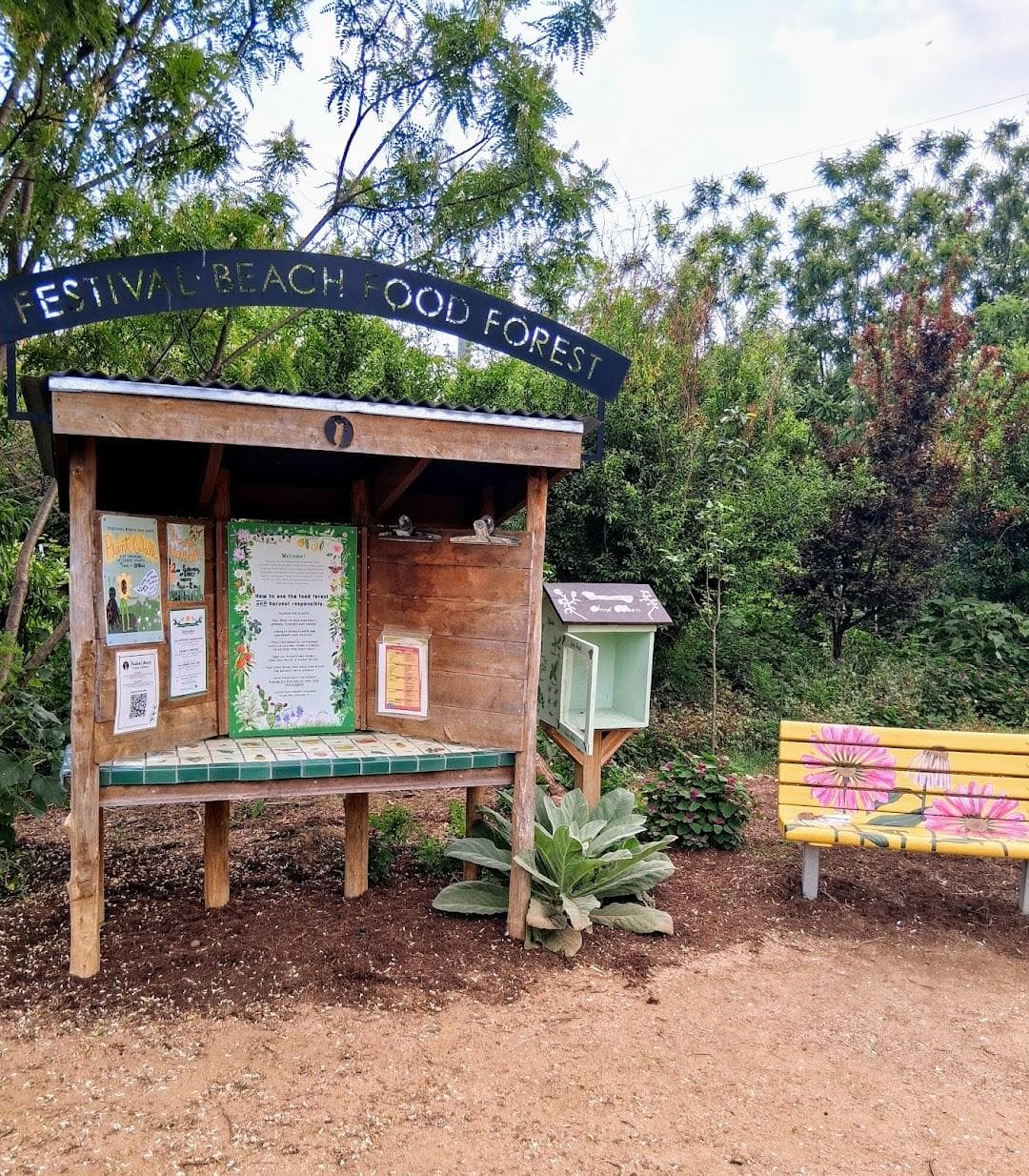 Festival Beach Food Forest photo 3