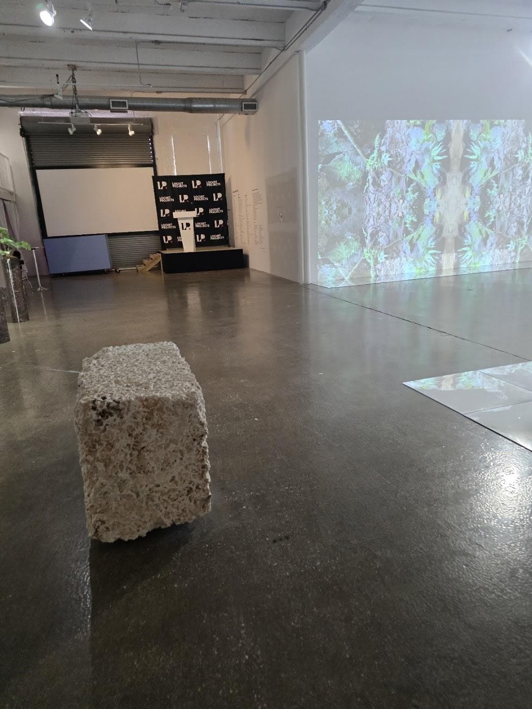 Locust Projects photo 3