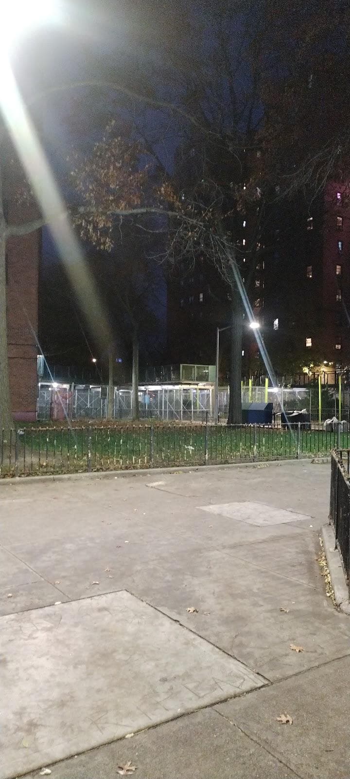 Lillian D. Wald Playground photo 3