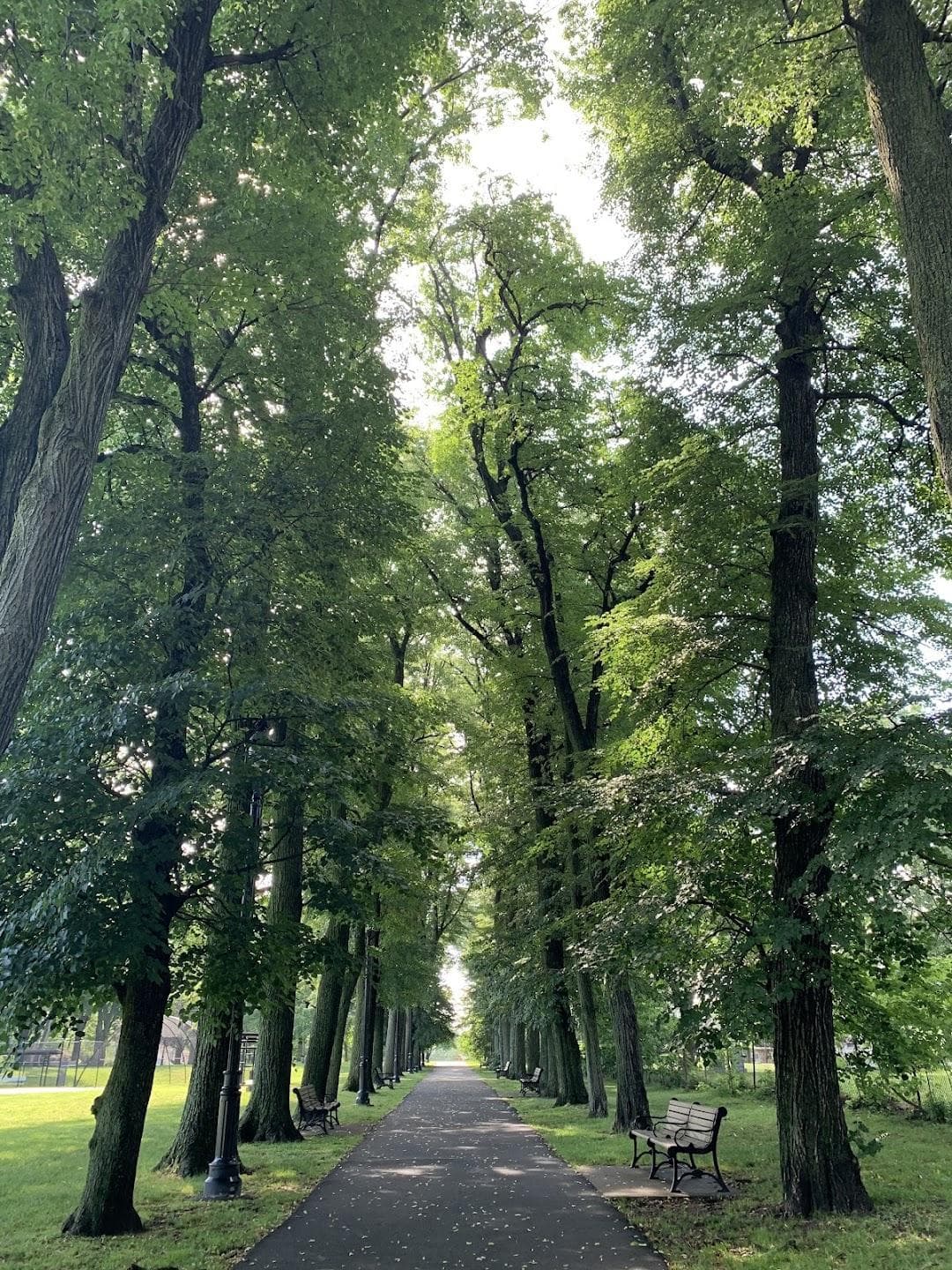 Yanticaw Park photo 4