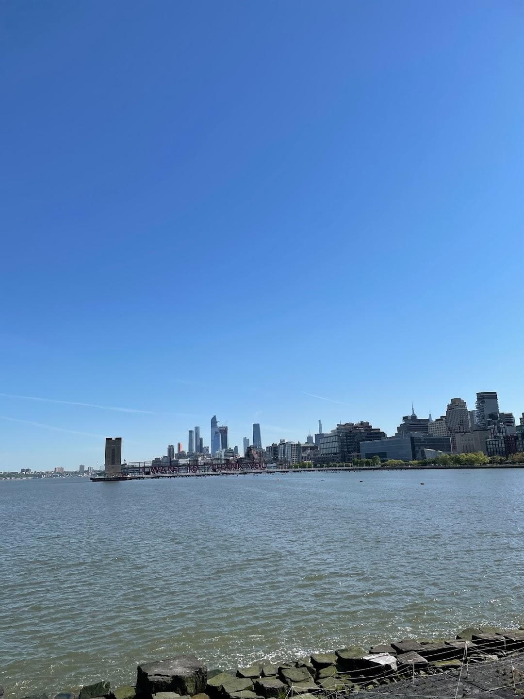 Pier 25 at Hudson River Park photo 5