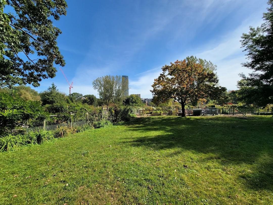 The Fenway Garden Society photo 6