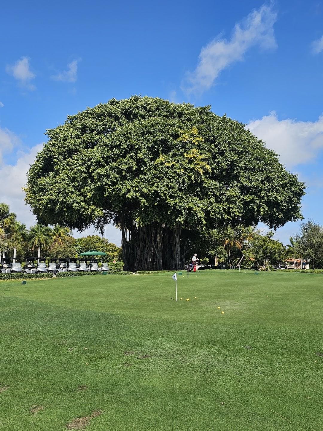 Normandy Shores Golf Course photo 2