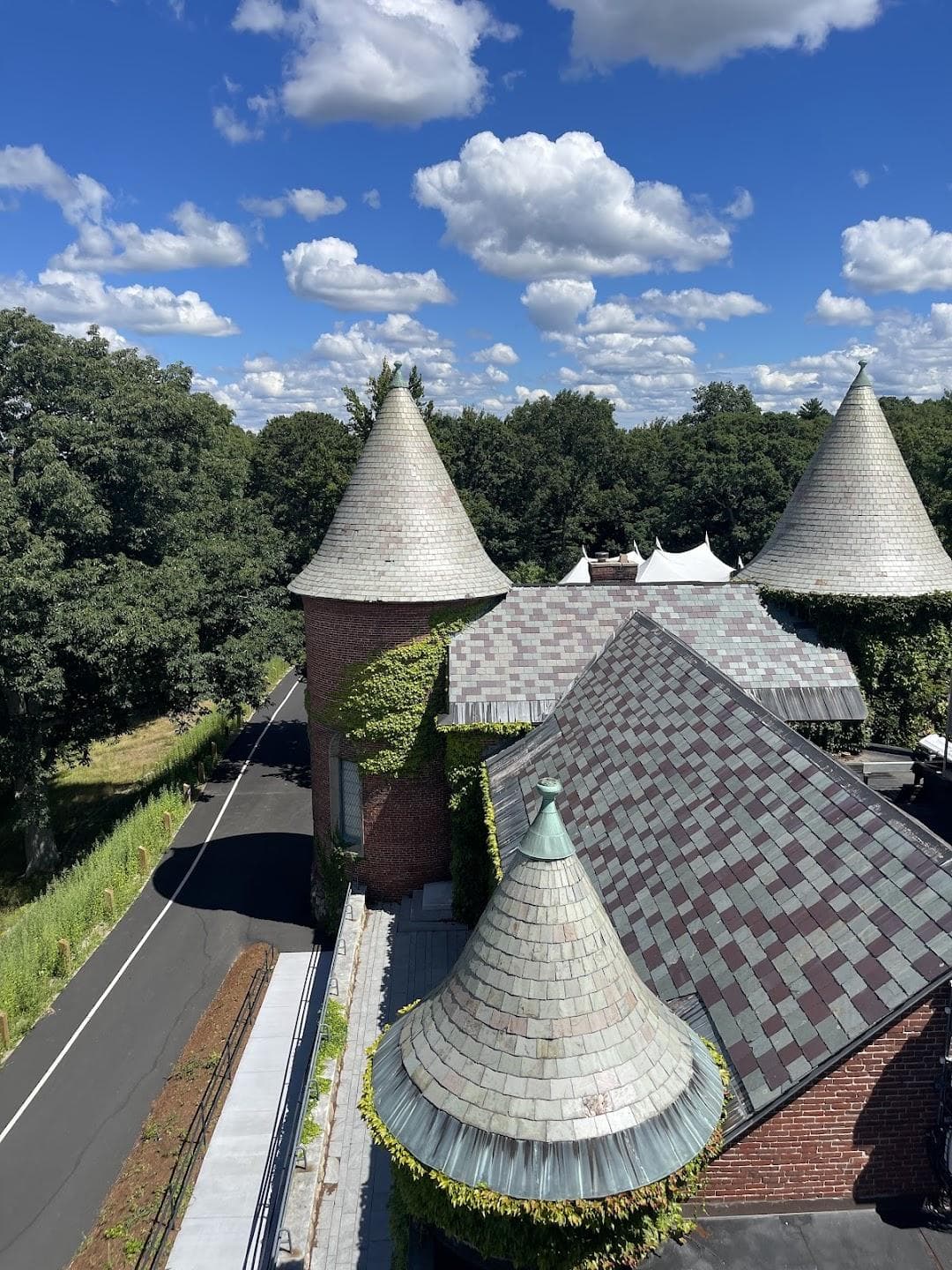 deCordova Sculpture Park and Museum photo 3
