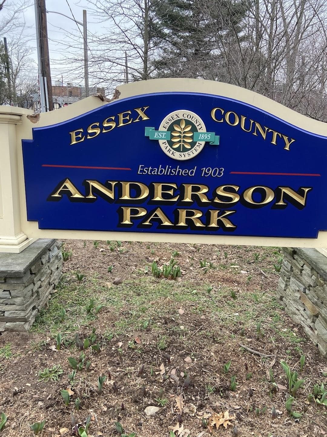Anderson Park photo 4