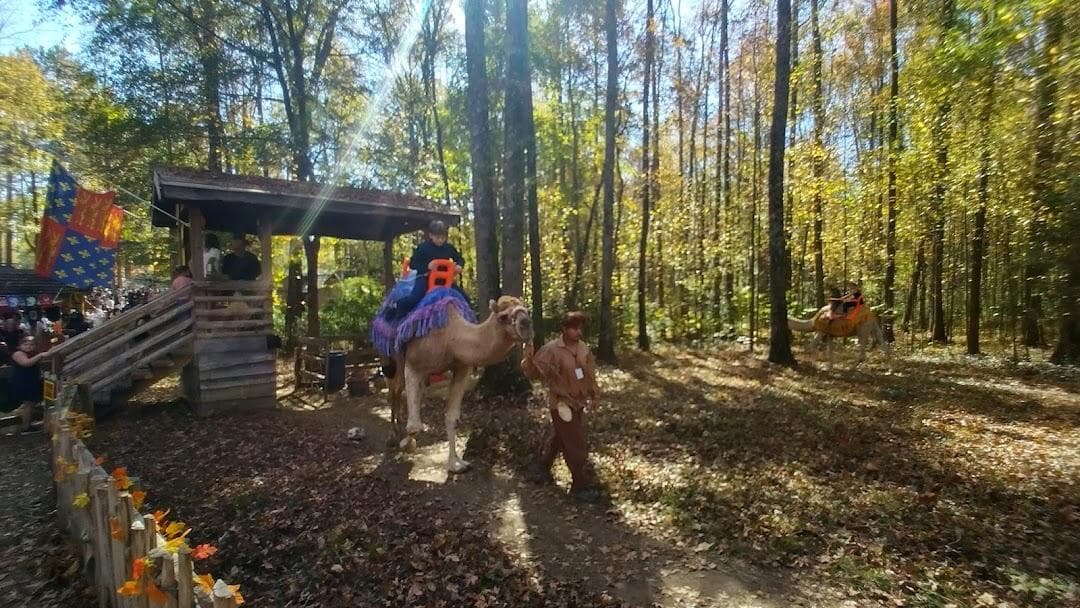 Carolina Renaissance Festival photo 3