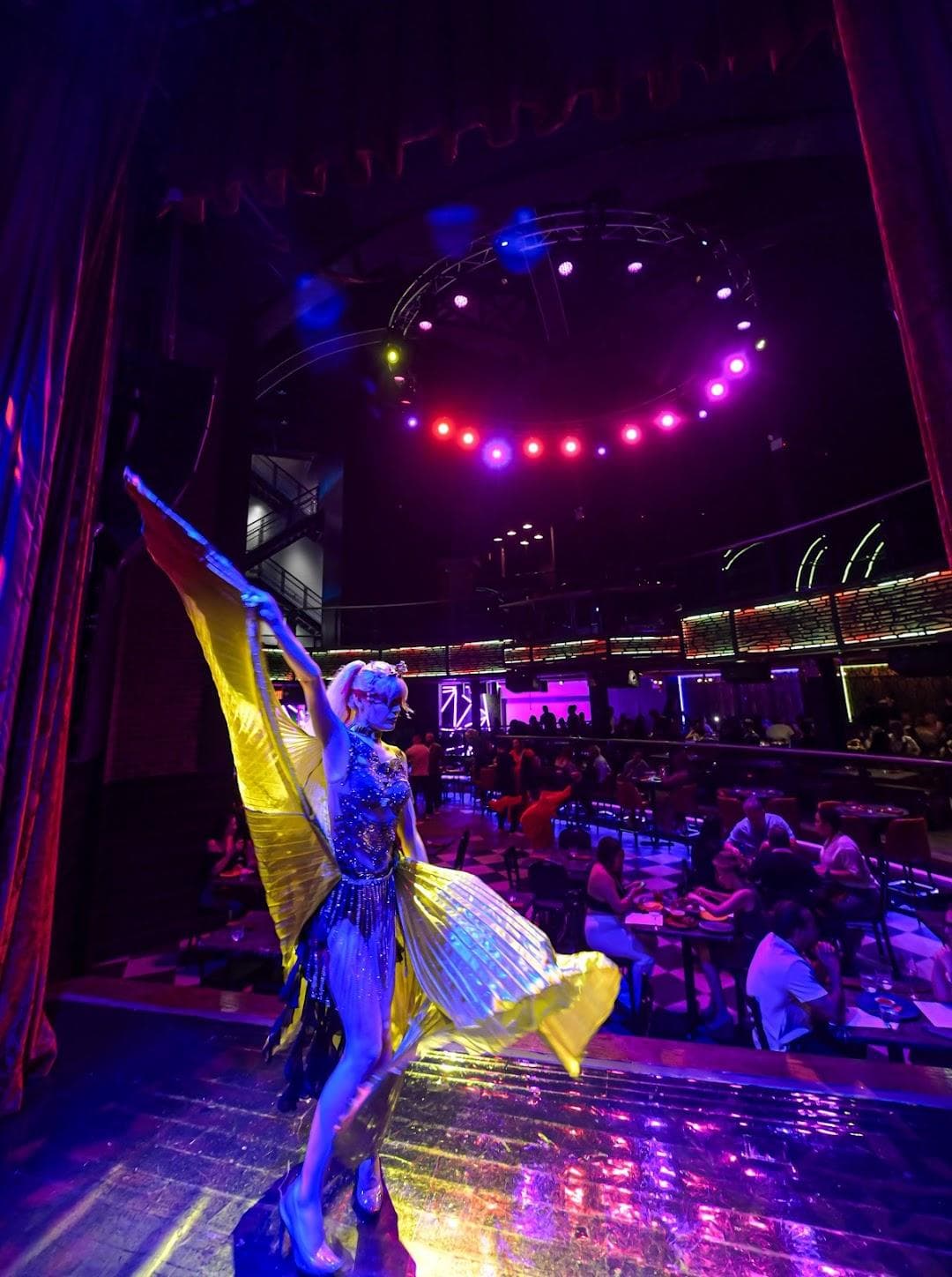 CIRCO photo 4