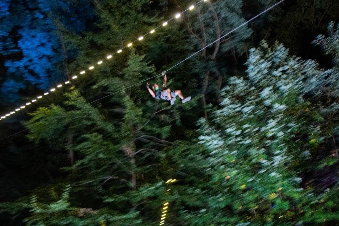 The Adventure Park at the Discovery Museum photo 5