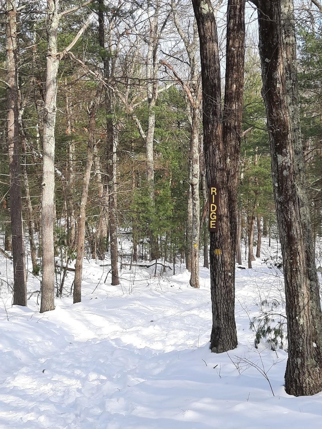 Rocky Woods photo 5