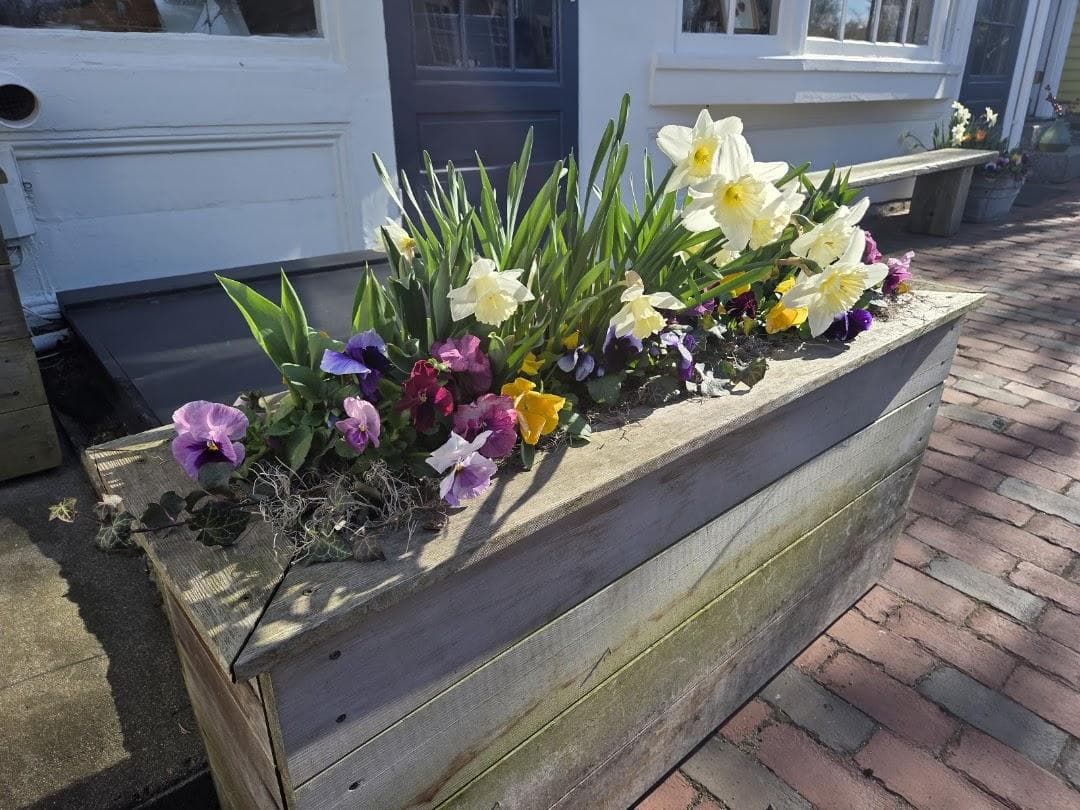 Marblehead Arts Association photo 6