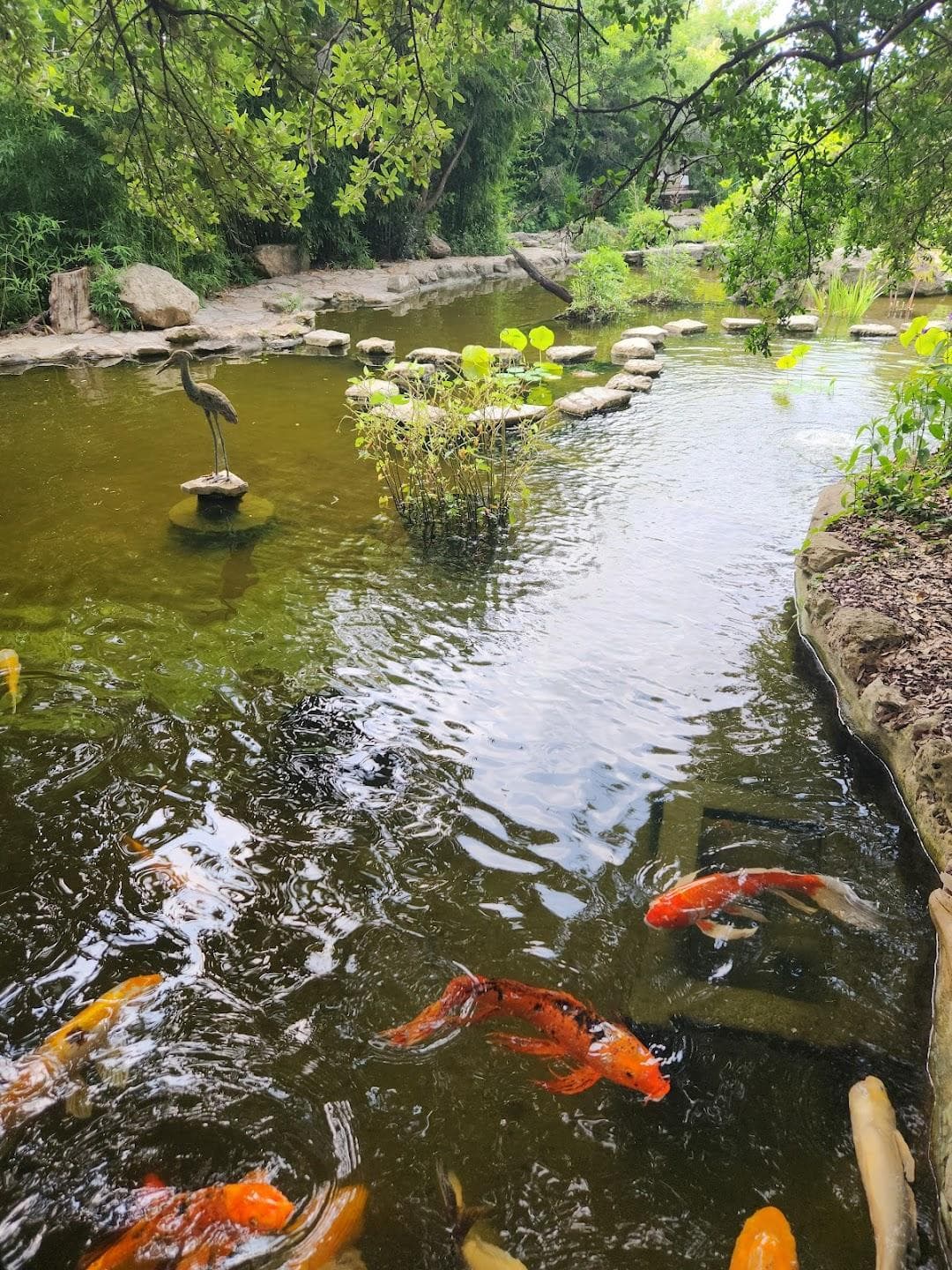 Zilker Botanical Garden photo 5