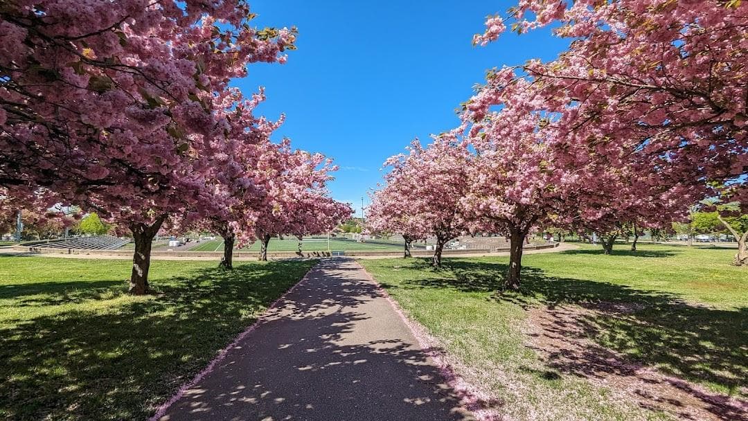 Joe Moakley Park photo 1