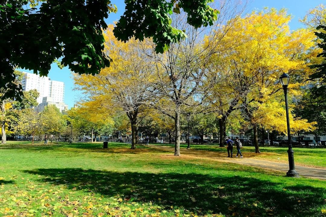 Joyce Kilmer Park photo 4