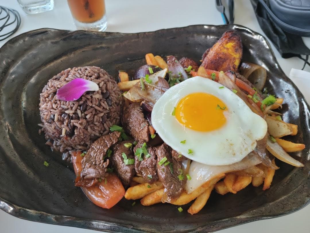 YUCA 105 photo 2