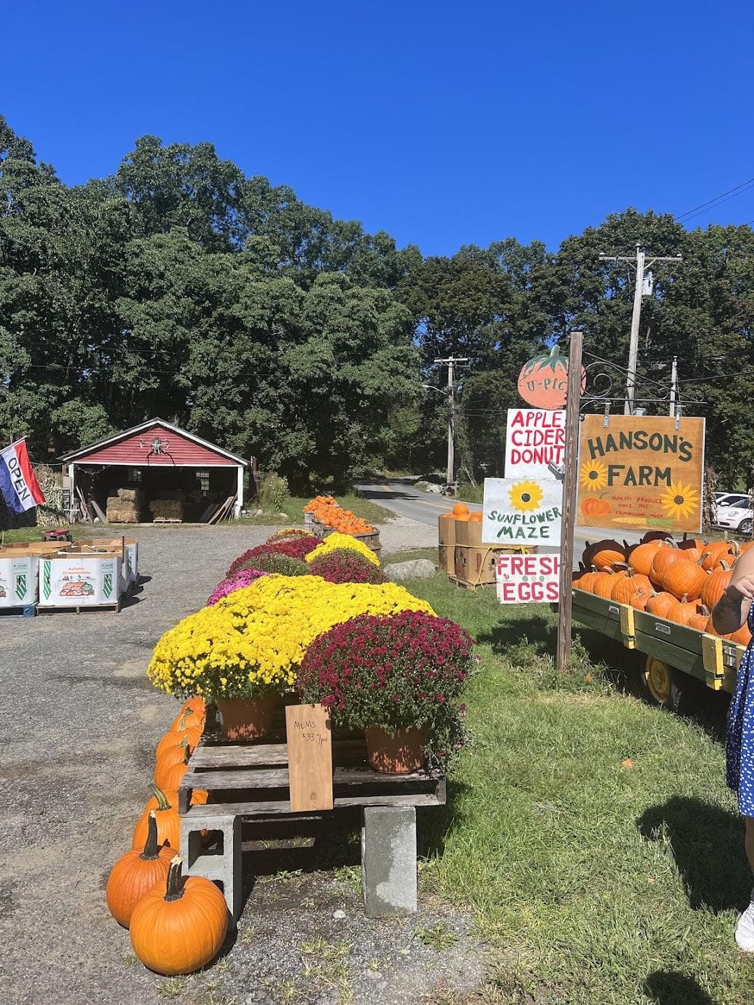 Hanson's Farm photo 3