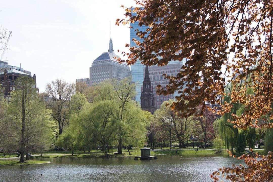 Downtown photo 6