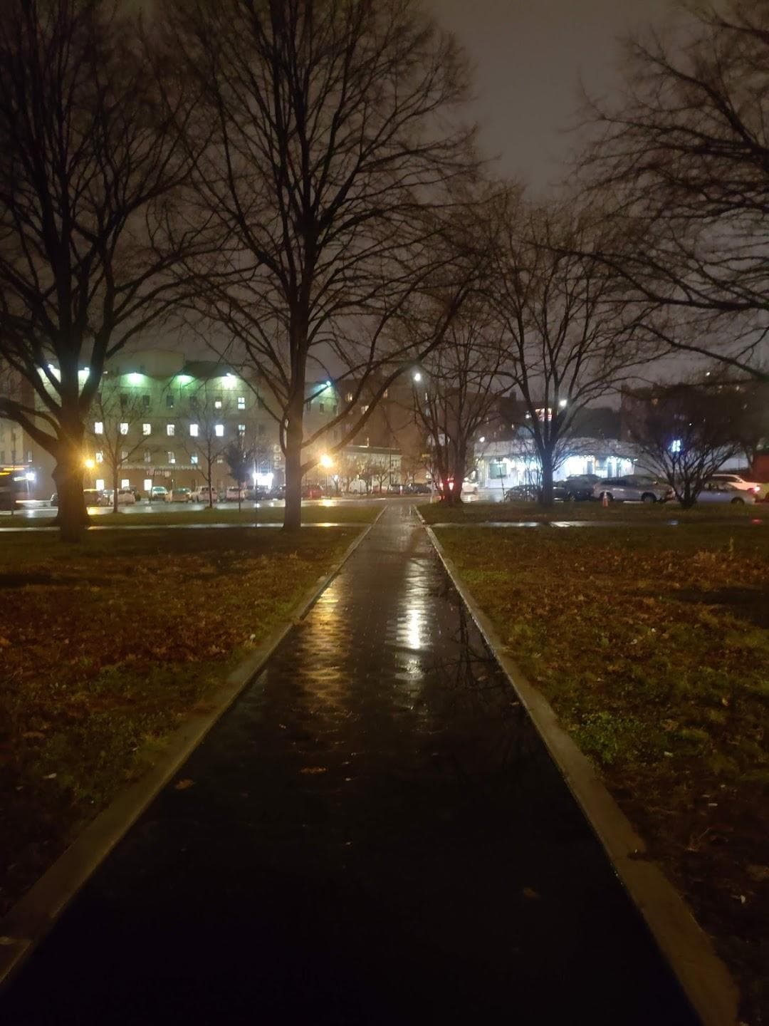 Pelham Parkway photo 6