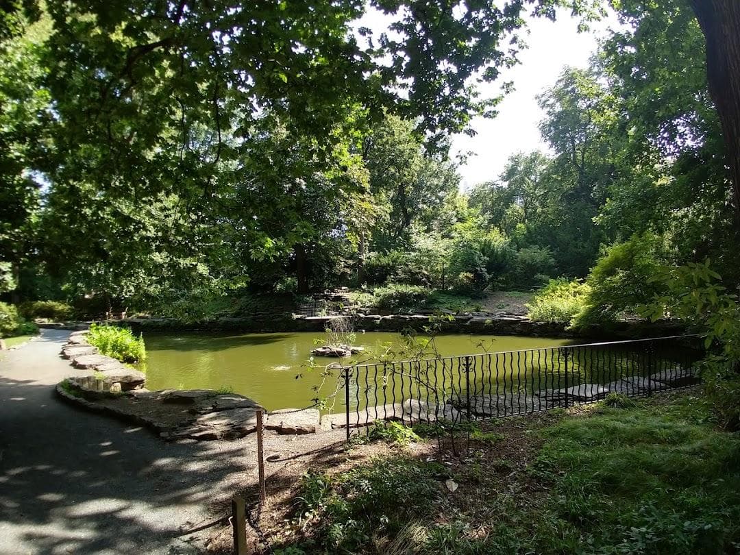 Biopond photo 6