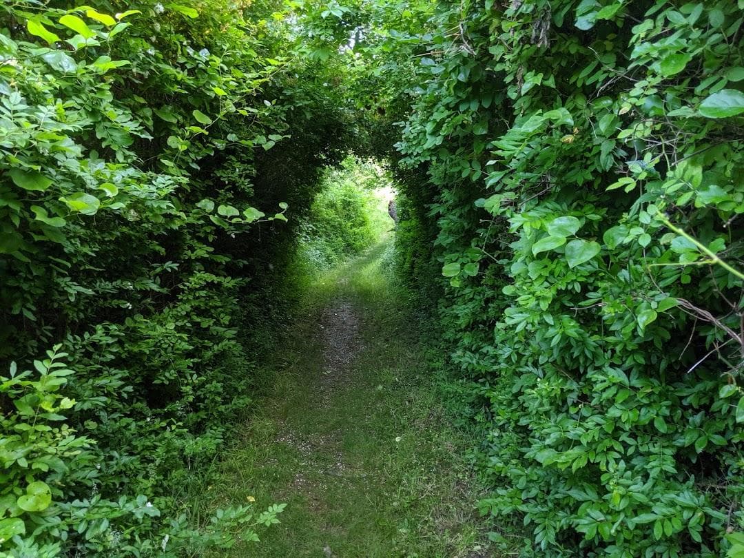 Long Pasture Wildlife Sanctuary photo 1
