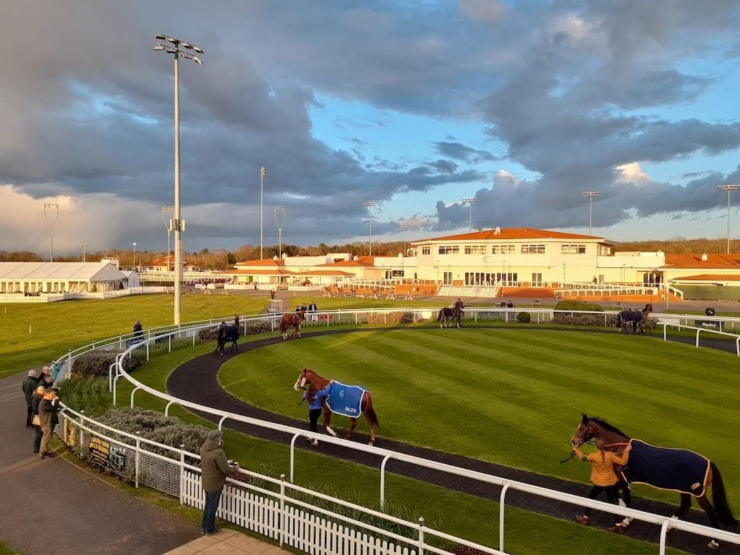 Chelmsford City Racecourse photo 3