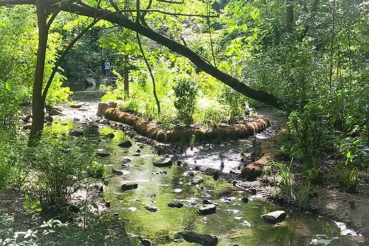 Newark Riverfront Park, Orange Sticks photo 2