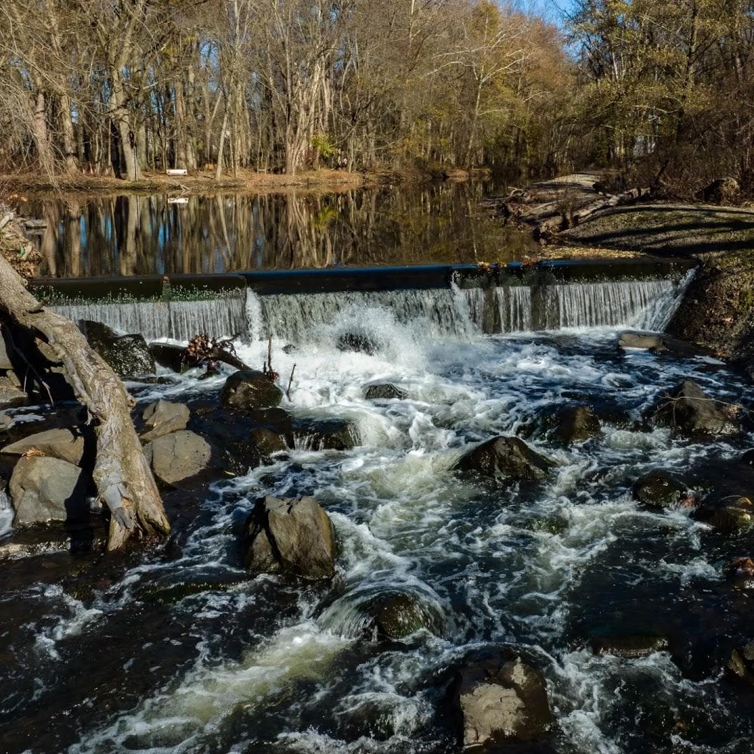 Saddle River County Park photo 5