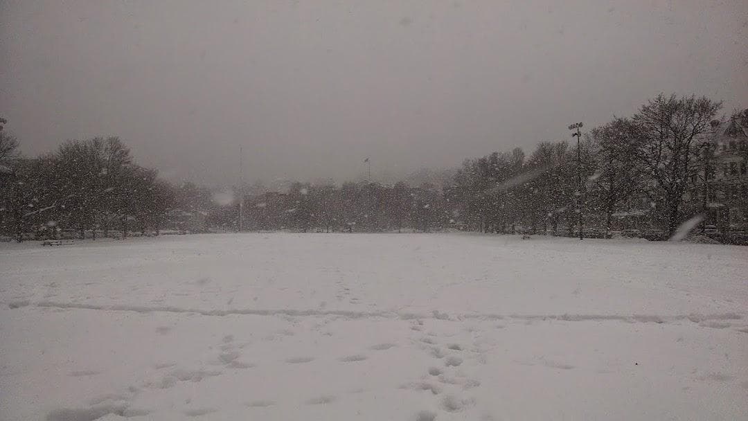 Brookline High School photo 3