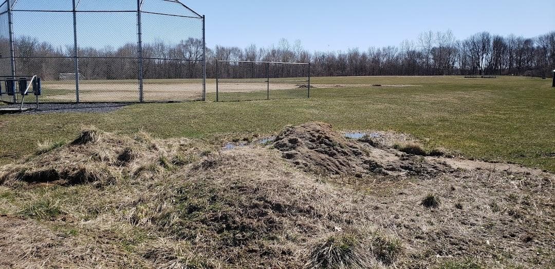 Veteran's Park Softball Fields photo 3