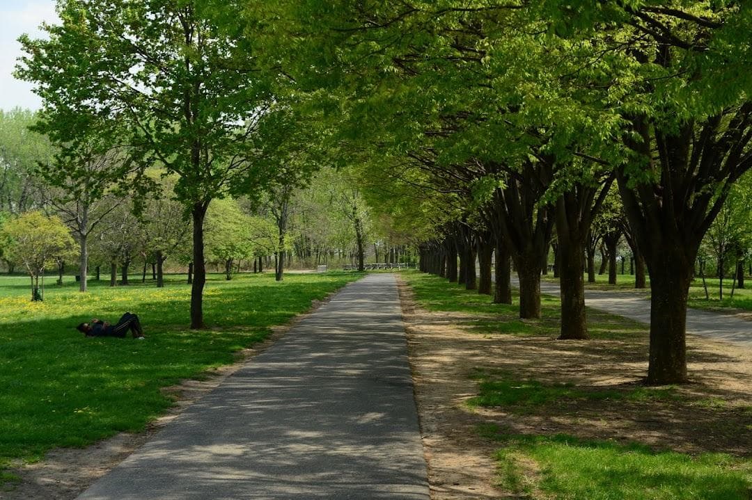 Soundview Park photo 5