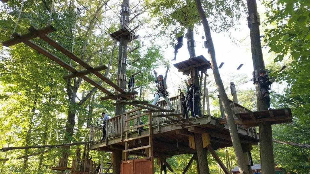 The Adventure Park at the Discovery Museum photo 4